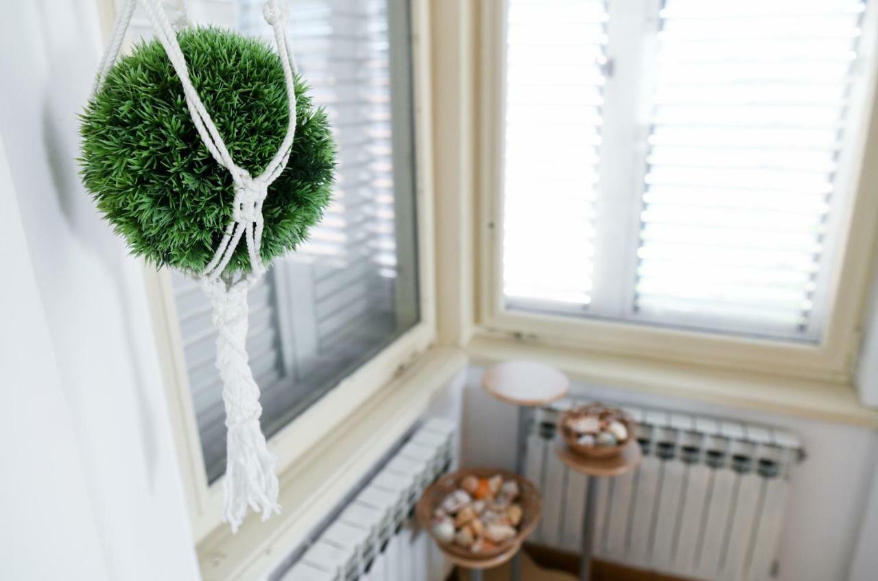 Apartments Bazilika Novalja Zewnętrze zdjęcie